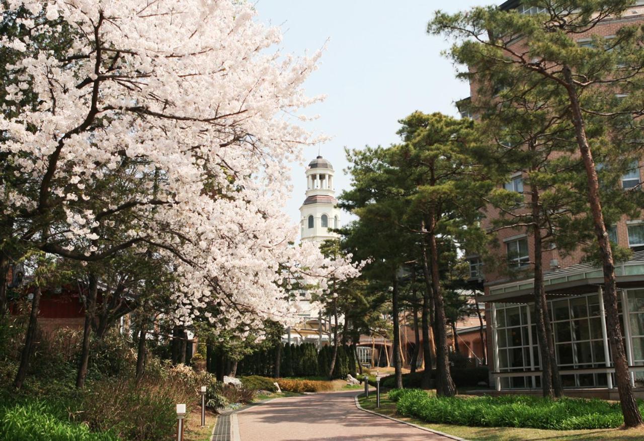 Mayfield Hotel Seul Dış mekan fotoğraf